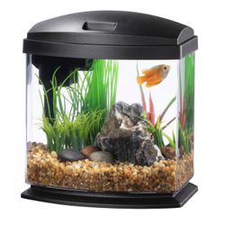 2.5 Gallon Fish Tank With Filter + Tons Of Accessories 