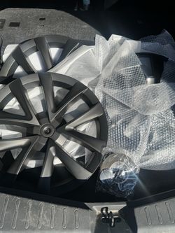 Tesla 3 hub caps