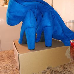 Knee High Blue Boots