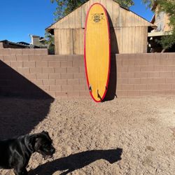 Fiberglass Paddleboard