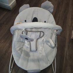 Baby Bouncer