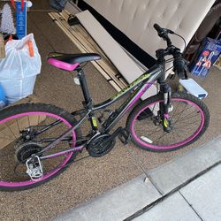 24” Girls Giant Liv Mountain Bike