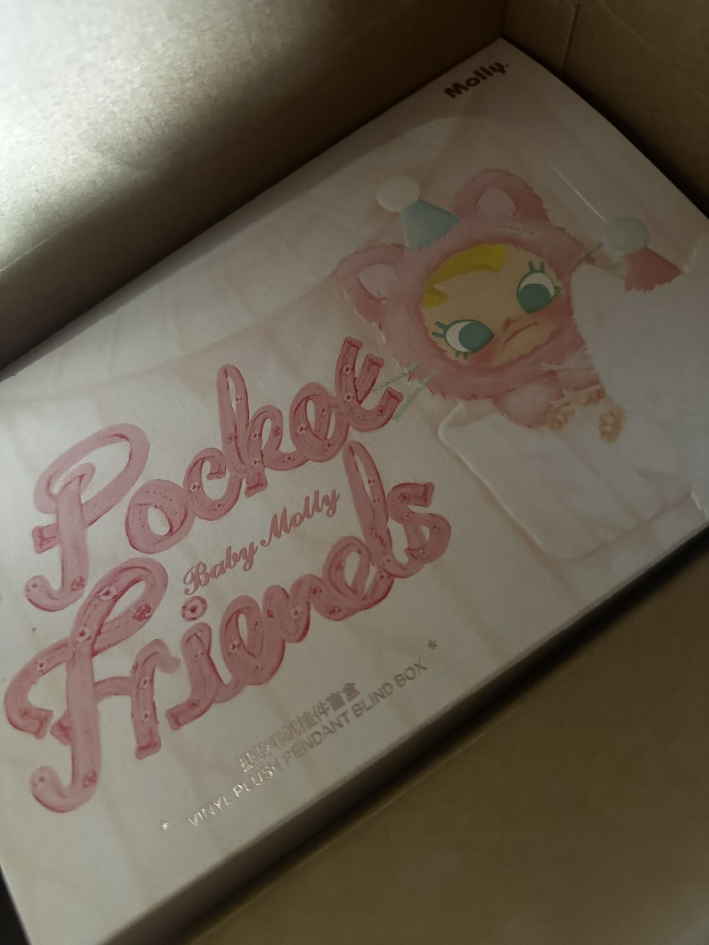 Molly Pocket Friends
