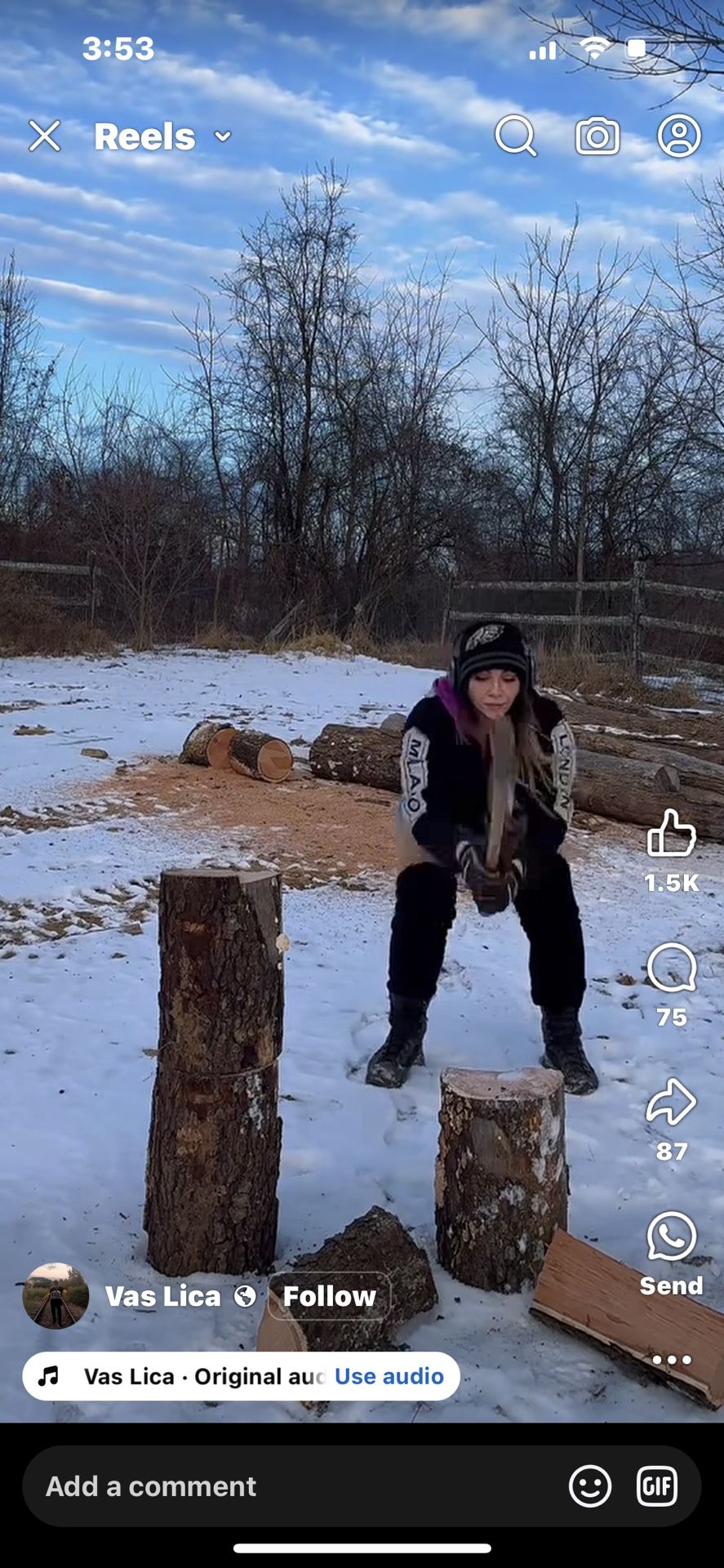 Firewood