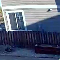 Free Dirt From Planter Boxes