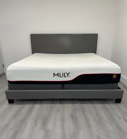 Beautiful king size gray leather bed. Mattress and boxspring included for free. Delivery available for an additional cost.