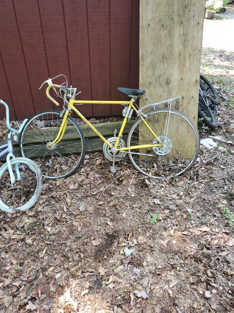 1972 Shwinn Varsity