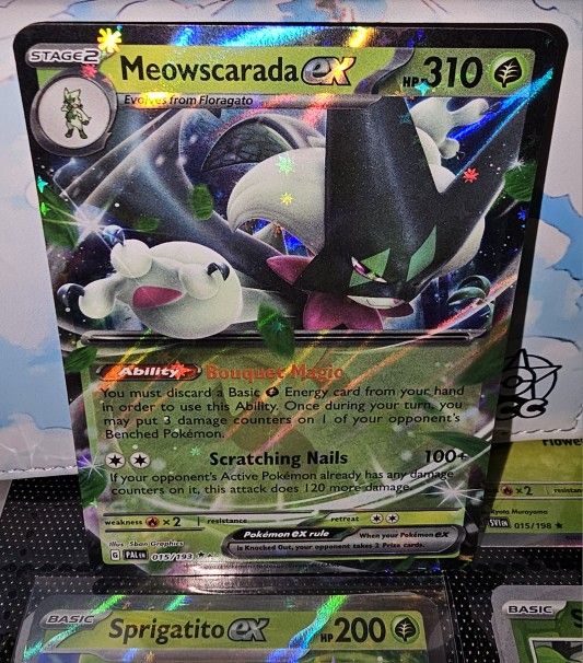Meowscarada EX bundle (pokemon tcg)
