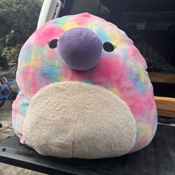Giant squishmallow
