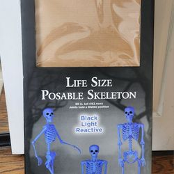 Spirit Halloween Life Size Posable Skeleton