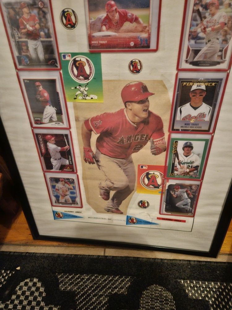 Michael's Trout Cards