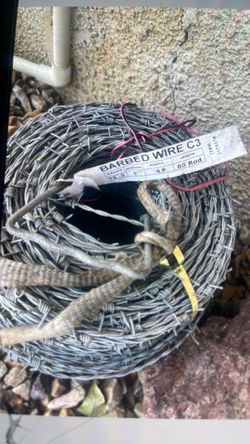 Bobwire