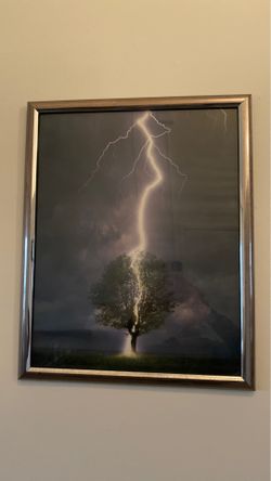 Lightning Striking Tree Photo Art - Silver Frame included - 17”x21”