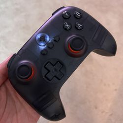 8bitdo Ultimate C Steamdeck Color Scheme