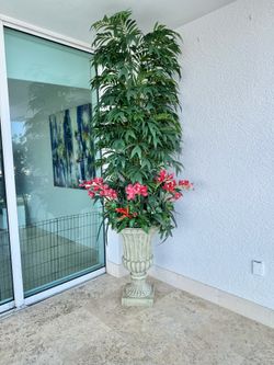 Plant, Decorative, Home Decor, Pot, Garden, Tree