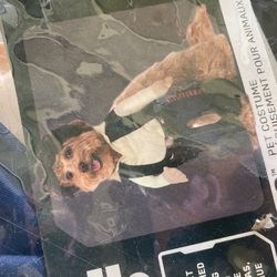 Star Wars Costume