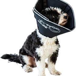 Pet Cone - New 