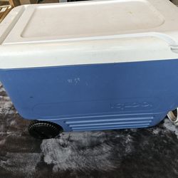 Igloo Cooler With Wheels 