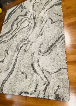 Thomasville lush Shag Rug 5x7