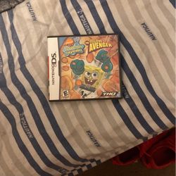 Used Nintendo DS Game