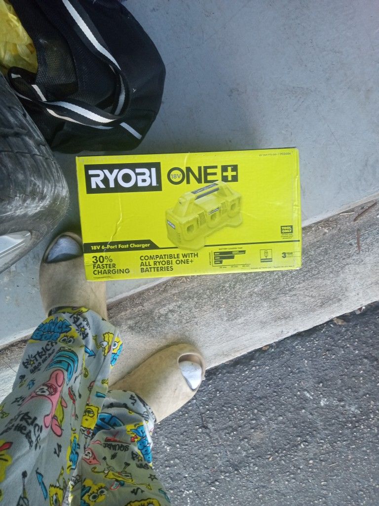 Ryobi 6 Piece Multi Charger.