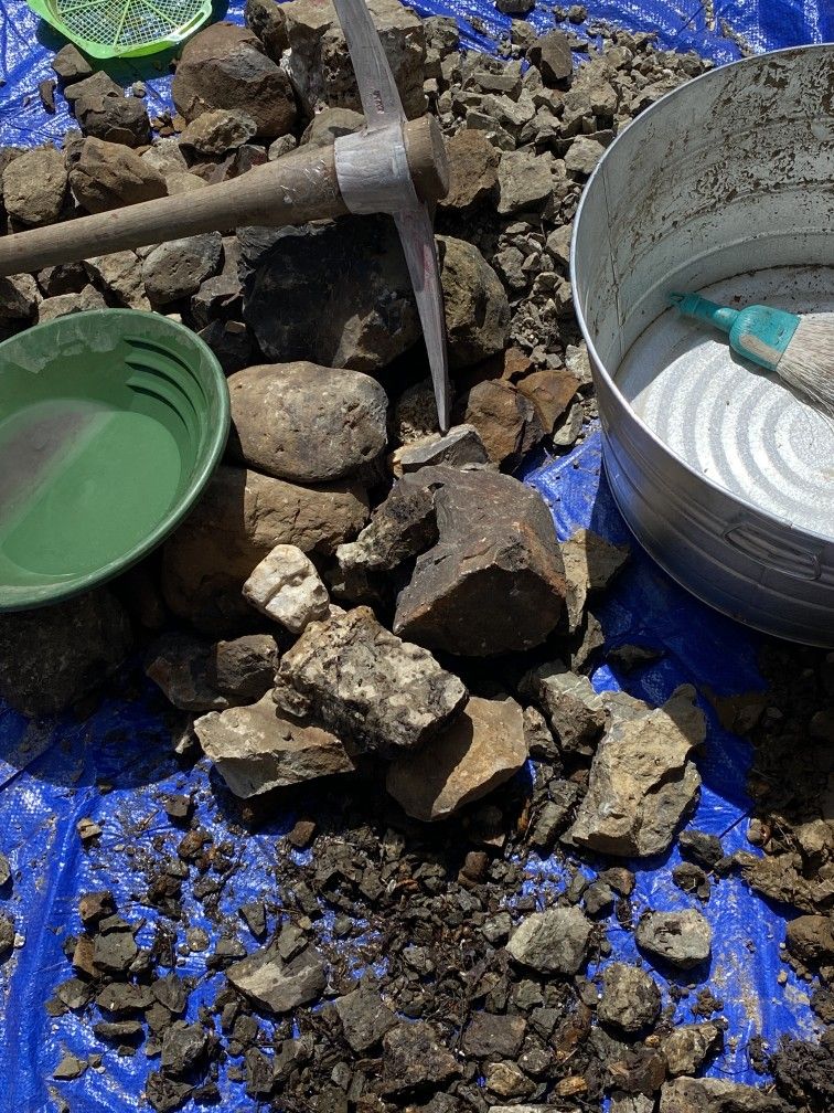 Paydirt Cons For Sale 10 Pound Bags