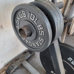 10lb Plates