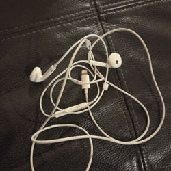Earbuds Wired
