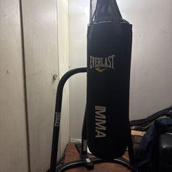 Punching Bag 