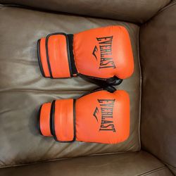 Everlast Gloves
