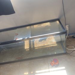 Fish Tank/lizard Tank 