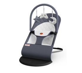 Baby bouncer