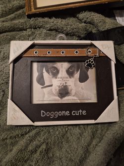 Pet picture frame