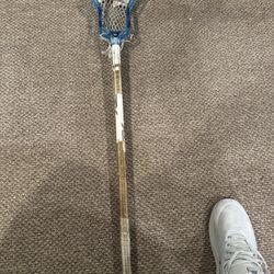 Stx Fiber Shaft And Ecd Ion Head 