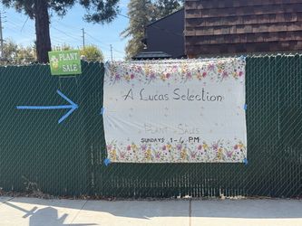 A Lucas Selection Plant Sales