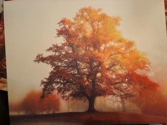 Fall tree painting