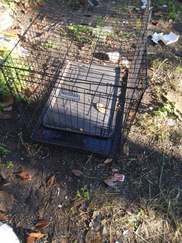 Dog Kennel