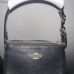 Small Coach Purse 