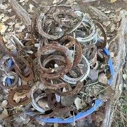Horse shoes