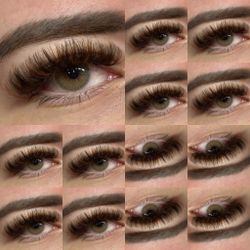 Brown Lashes 