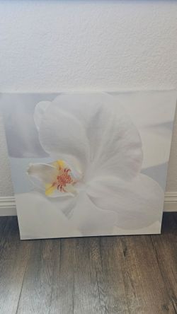 IKEA PJÄTTERYD White Orchid Canvas Art