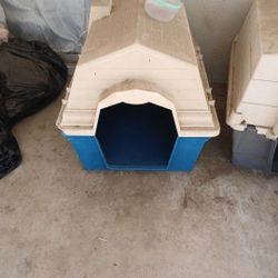 Dog  House 