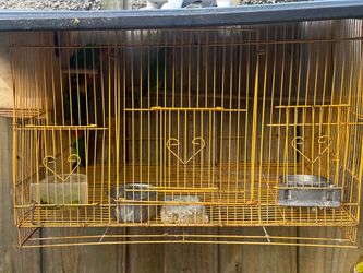 Bird cage $45