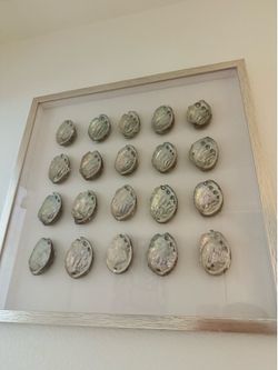 Art shells