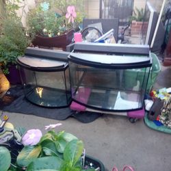 Fish Tanks And  Fish Aec.