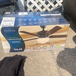 New Fan And light