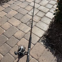 Salt  water rod and reel