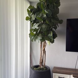 Fake Plant With Base