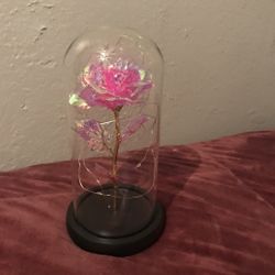 Galaxy Enchanted Rose LED Glass Display