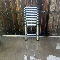 🪜 Telescoping Ladder